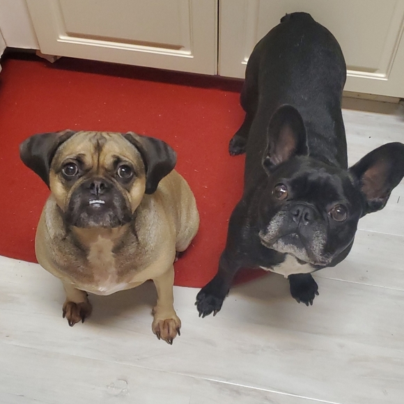 Meet the Posher, Kristen! - Picture 5 of 5